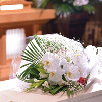 ティーワイフラワー画像