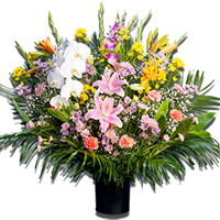 ティーワイフラワー画像