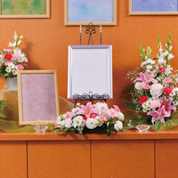 ティーワイフラワー画像